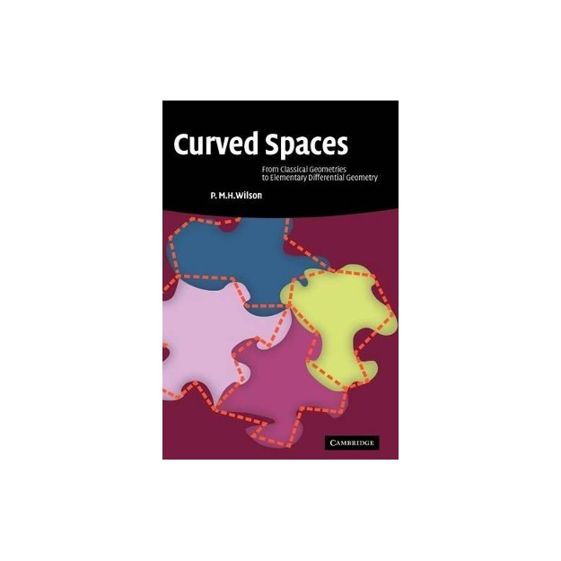 CURVED SPACES - FROM CLASSICAL GEOMETRIES TO ELEMENTARY DIFFERENTIAL GEOMETRY