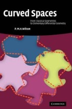 CURVED SPACES - FROM CLASSICAL GEOMETRIES TO ELEMENTARY DIFFERENTIAL GEOMETRY
