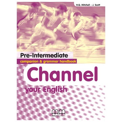 CHANNEL YOUR ENGLISH PRE-INTERMEDIATE COMPANION   GRAMMAR