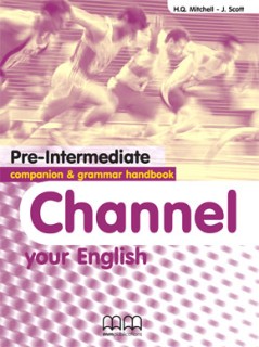 CHANNEL YOUR ENGLISH PRE-INTERMEDIATE COMPANION   GRAMMAR