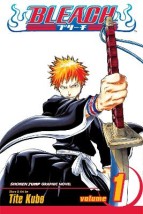 BLEACH 01 PA