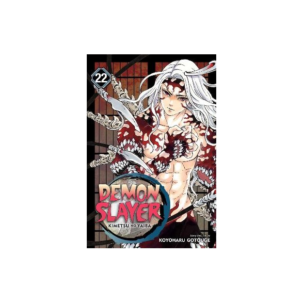 DEMON SLAYER, VOL. 22 PA
