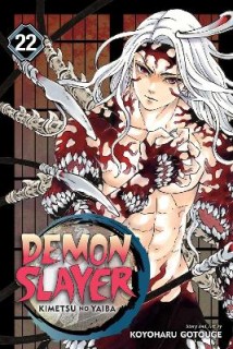 DEMON SLAYER, VOL. 22 PA
