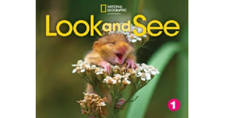 LOOK AND SEE LEVEL 1 AME CLASSROOM PRESENTATION TOOL