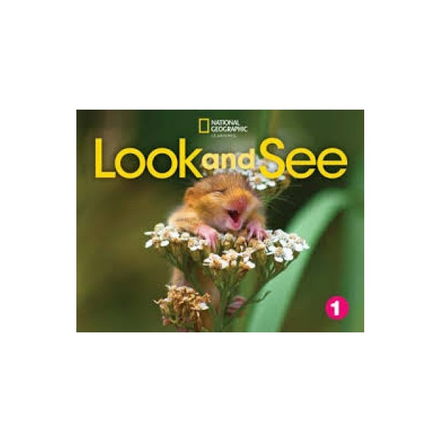 LOOK AND SEE LEVEL 1 AME CLASSROOM PRESENTATION TOOL