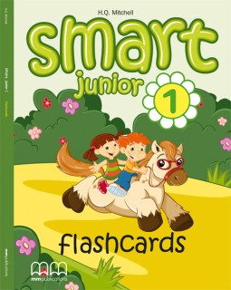 SMART 1 JUNIOR FLASHCARDS